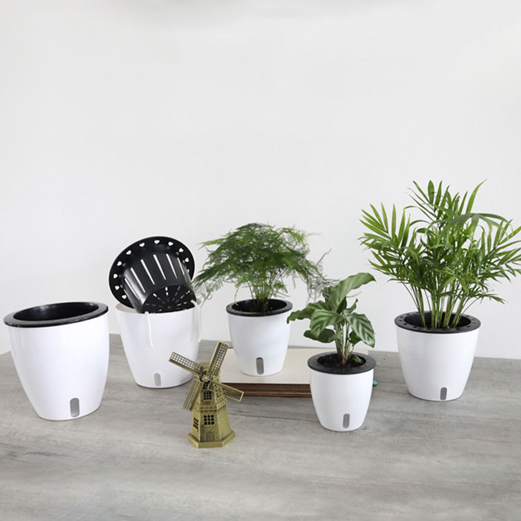White Portable And Eco-friendl - огляд і ціна Aloe Vera Pot