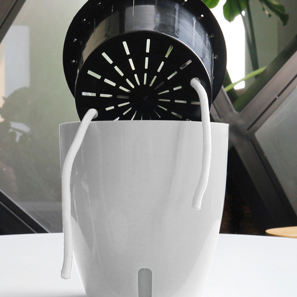 White Portable And Eco-friendl - огляд і ціна Aloe Vera Pot