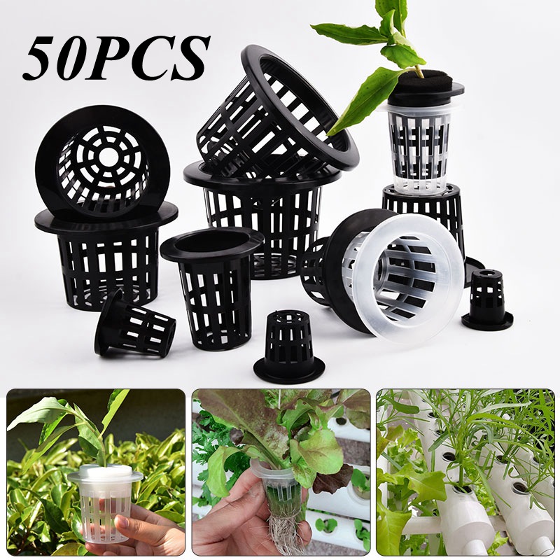 50Pcs Black White Soilless Mes - огляд і ціна Aloe Vera Pot