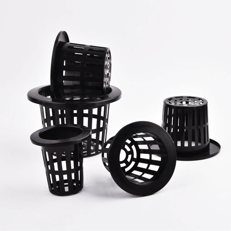 50Pcs Black White Soilless Mes - огляд і ціна Aloe Vera Pot