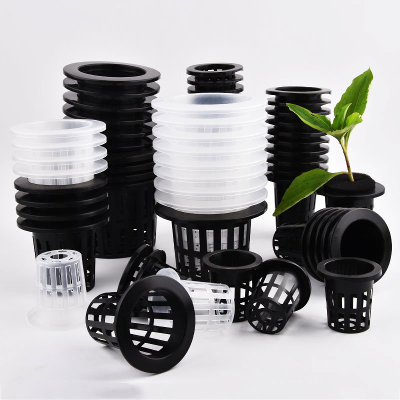 50Pcs Black White Soilless Mes - огляд і ціна Aloe Vera Pot