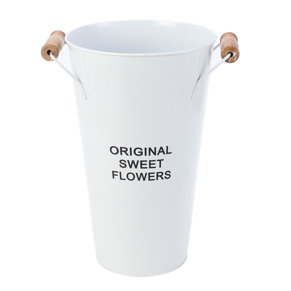 Wrought Iron Flower Vase Deskt - огляд і ціна Aloe Vera Pot